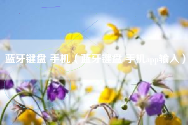 蓝牙键盘 手机（蓝牙键盘 手机app输入）