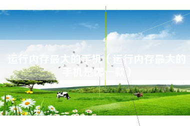 运行内存最大的手机（运行内存最大的手机是哪一款）