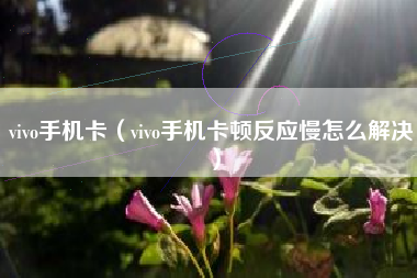 vivo手机卡（vivo手机卡顿反应慢怎么解决）