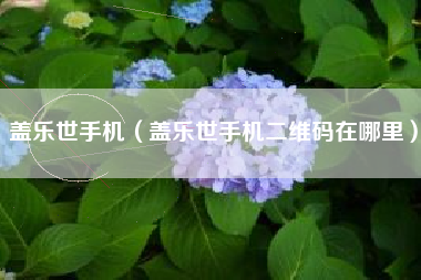 盖乐世手机（盖乐世手机二维码在哪里）