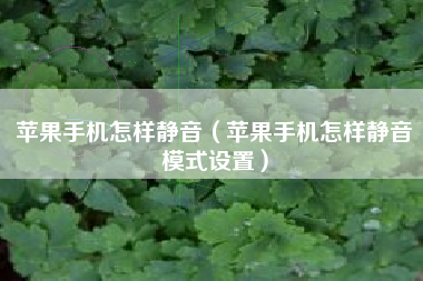 苹果手机怎样静音（苹果手机怎样静音模式设置）