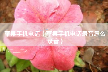 苹果手机电话（苹果手机电话录音怎么录音）