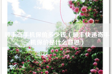 顺丰寄手机保价多少钱（顺丰快递寄手机保价是什么意思）