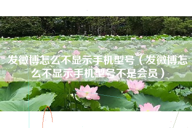 发微博怎么不显示手机型号（发微博怎么不显示手机型号不是会员）
