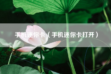 手机迷你卡（手机迷你卡打开）