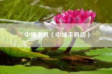 中域手机（中域手机店）