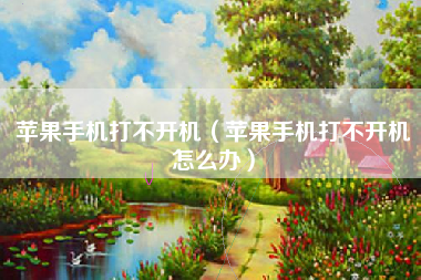 苹果手机打不开机（苹果手机打不开机怎么办）