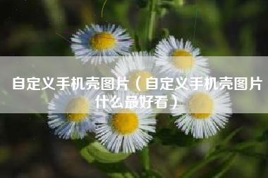 自定义手机壳图片（自定义手机壳图片什么最好看）