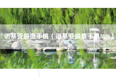 诺基亚最贵手机（诺基亚最贵手机8800）
