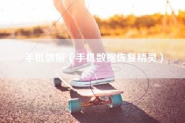 手机数据（手机数据恢复精灵）
