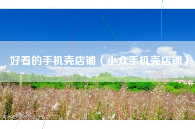 好看的手机壳店铺（小众手机壳店铺）