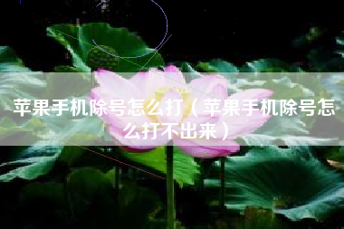 苹果手机除号怎么打（苹果手机除号怎么打不出来）