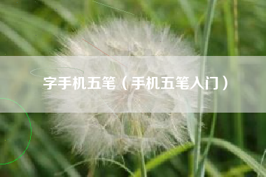 字手机五笔（手机五笔入门）