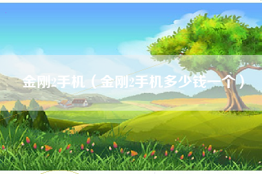 金刚2手机（金刚2手机多少钱一个）