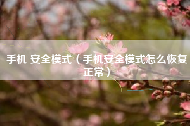 手机 安全模式（手机安全模式怎么恢复正常）