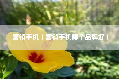 营销手机（营销手机哪个品牌好）