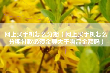 网上买手机怎么分期（网上买手机怎么分期付款必须金额大于物品金额吗）