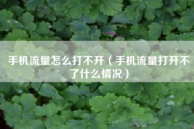 手机流量怎么打不开（手机流量打开不了什么情况）