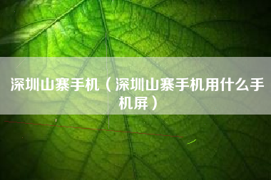 深圳山寨手机（深圳山寨手机用什么手机屏）