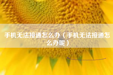 手机无法接通怎么办（手机无法接通怎么办呢）