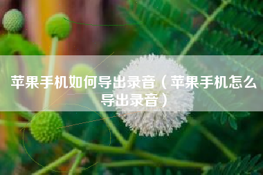苹果手机如何导出录音（苹果手机怎么导出录音）