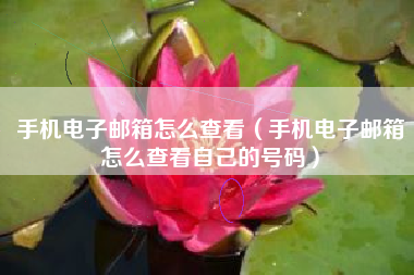 手机电子邮箱怎么查看（手机电子邮箱怎么查看自己的号码）