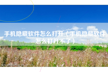 手机隐藏软件怎么打开（手机隐藏软件怎么打开不了）