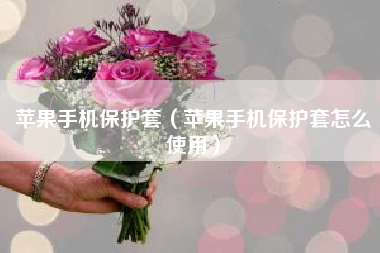 苹果手机保护套（苹果手机保护套怎么使用）