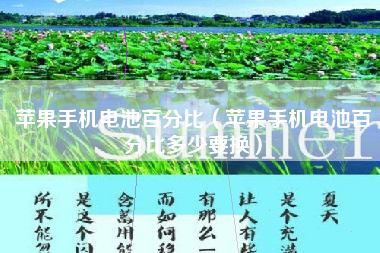 苹果手机电池百分比（苹果手机电池百分比多少要换）