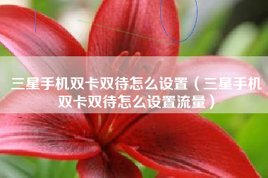 三星手机双卡双待怎么设置（三星手机双卡双待怎么设置流量）