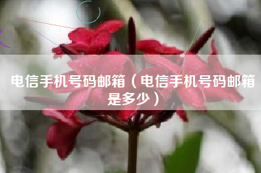 电信手机号码邮箱（电信手机号码邮箱是多少）