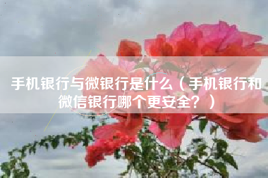 手机银行与微银行是什么（手机银行和微信银行哪个更安全？）