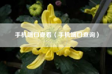 手机端口查看（手机端口查询）