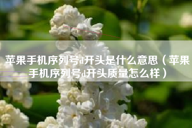 苹果手机序列号d开头是什么意思（苹果手机序列号d开头质量怎么样）