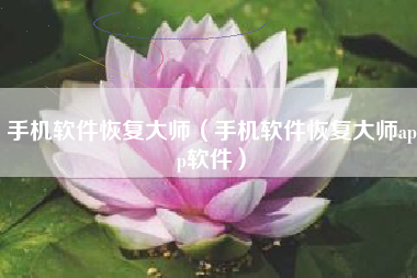 手机软件恢复大师（手机软件恢复大师app软件）