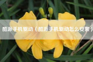 酷派手机驱动（酷派手机驱动怎么安装）