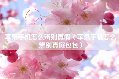 苹果手机怎么辨别真假（苹果手机怎么辨别真假包包）