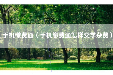 手机缴费通（手机缴费通怎样交学杂费）