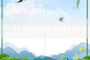 手机桌面壁纸男（手机桌面壁纸男生用）