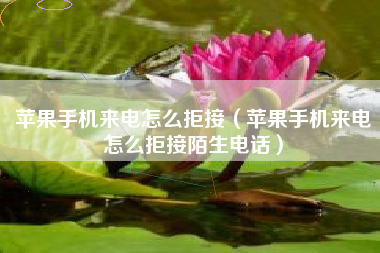 苹果手机来电怎么拒接（苹果手机来电怎么拒接陌生电话）