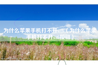 为什么苹果手机打不开wifi（为什么苹果手机打不开wifi按钮）