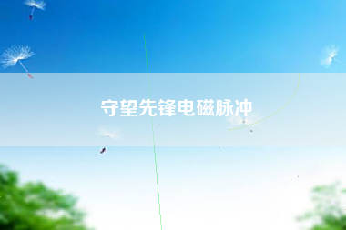 守望先锋电磁脉冲