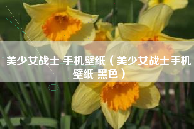 美少女战士 手机壁纸（美少女战士手机壁纸 黑色）