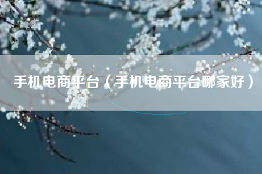 手机电商平台（手机电商平台哪家好）