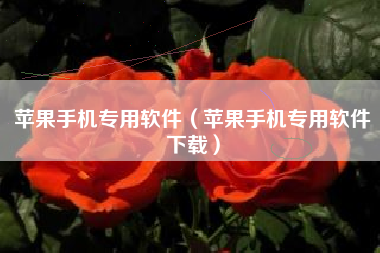 苹果手机专用软件（苹果手机专用软件下载）
