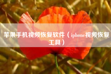苹果手机视频恢复软件（iphone视频恢复工具）