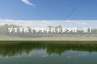 学生手机（学生手机卡多少钱一张）