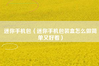 迷你手机包（迷你手机包装盒怎么做简单又好看）