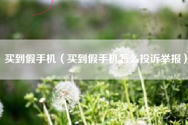 买到假手机（买到假手机怎么投诉举报）
