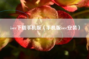 isee下载手机版（手机版isee安装）